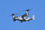 Dcim17995/DSC_2884