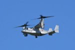 Dcim17995/DSC_2888