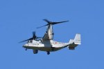 Dcim17995/DSC_2891