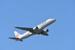 Dcim17995/DSC_2972