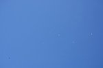 Dcim17999/DSC_5010