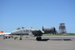 Dcim18000/DSC_5155