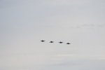 Dcim18002/DSC_2990