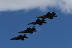 Dcim18002/DSC_3003