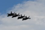Dcim18002/DSC_3008