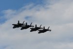 Dcim18002/DSC_3009