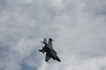 Dcim18002/DSC_3046