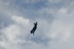 Dcim18002/DSC_3051