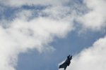 Dcim18002/DSC_3054