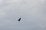 Dcim18002/DSC_3070