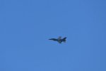 Dcim18003/DSC_3164