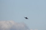 Dcim18003/DSC_3165