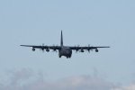 Dcim18005/DSC_3321