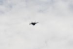 Dcim18005/DSC_3373