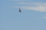 Dcim18005/DSC_3382