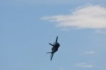 Dcim18005/DSC_3386