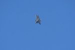 Dcim18005/DSC_3415