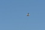 Dcim18006/DSC_3480