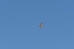 Dcim18006/DSC_3483