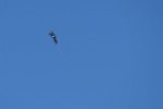 Dcim18006/DSC_3484