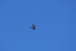 Dcim18006/DSC_3486