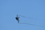 Dcim18006/DSC_3529