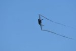 Dcim18006/DSC_3530