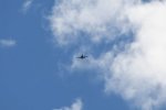 Dcim18007/DSC_3544