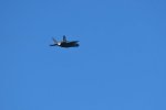 Dcim18007/DSC_3614