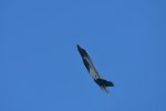 Dcim18008/DSC_3655