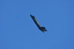 Dcim18008/DSC_3656