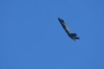 Dcim18008/DSC_3658