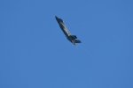 Dcim18008/DSC_3660