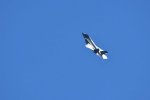 Dcim18008/DSC_3665