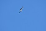 Dcim18008/DSC_3672