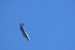 Dcim18008/DSC_3675