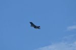 Dcim18008/DSC_3686