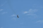 Dcim18008/DSC_3695