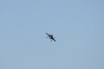 Dcim18008/DSC_3750