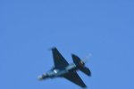 Dcim18009/DSC_3828