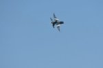 Dcim18009/DSC_3869