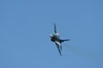 Dcim18010/DSC_3917