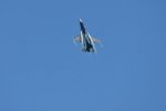 Dcim18010/DSC_3934