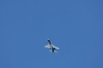 Dcim18010/DSC_3941