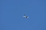 Dcim18010/DSC_3942