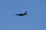 Dcim18010/DSC_3954