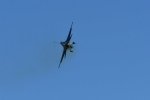 Dcim18010/DSC_3982