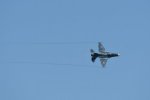 Dcim18011/DSC_4007