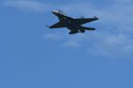 Dcim18011/DSC_4017