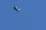 Dcim18011/DSC_4019